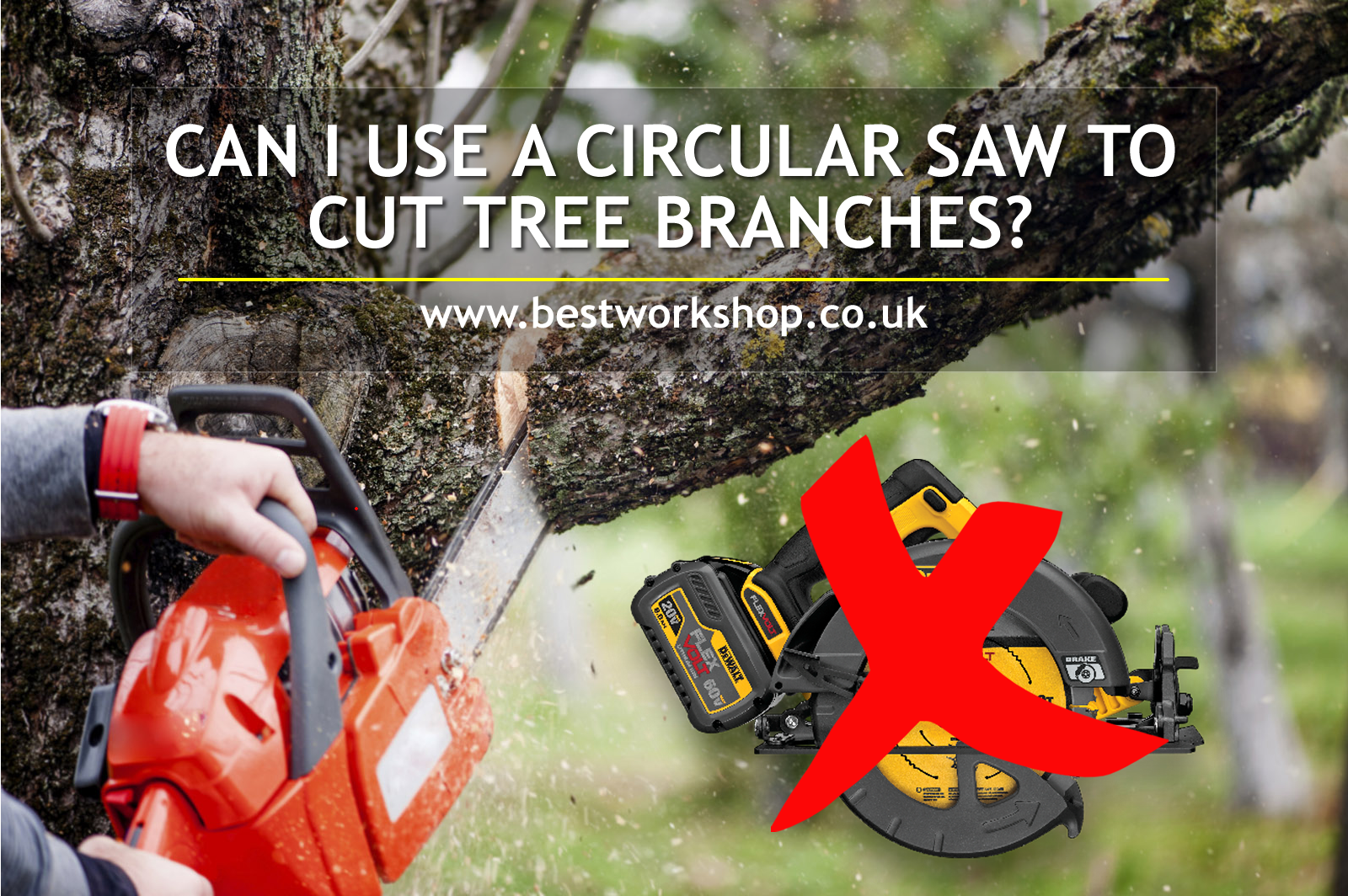 Circular saw to cut tree branch Clearance