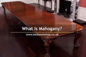 What is mahogany?