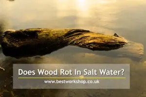 Does wood rot in salt water?