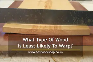 What Type Of Wood Is Least Likely To Warp?